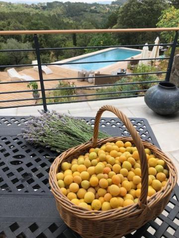 Idyllic French Farmhouse Les Assions エクステリア 写真